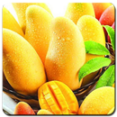 Mango Wallpaper HD-APK