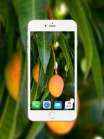 Mango Wallpaper ảnh chụp màn hình 2