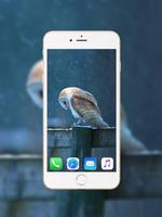 Owl Wallpaper 截图 1