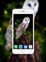 Owl Wallpaper स्क्रीनशॉट 2