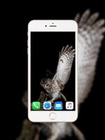 Owl Wallpaper 截图 3