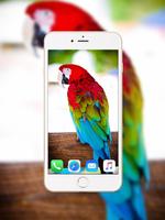 Parrot Wallpaper Plakat