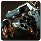 Pistol Wallpaper HD icône