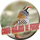 Canto Reclamo De Perdiz APK