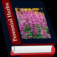 Perennial Herb Gardens captura de pantalla 3