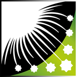 التدريبات العقلية