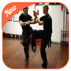 Wing Chun Kung Fu icône