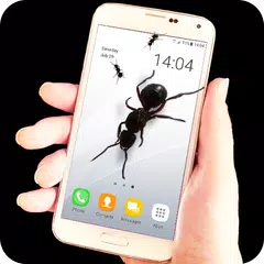 Ants on screen - prank APK download
