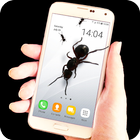 Ants on screen - prank-icoon