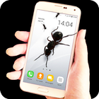 Ants on screen - prank Zeichen