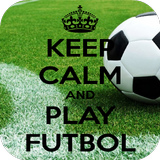 Keep Calm Soccer Quotes icône