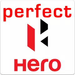 Perfect Auto Service-Hero Bike