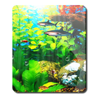 Perfecto Aquarium Real Fish HD icône