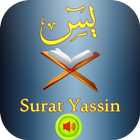 surah yasin full MP3 biểu tượng