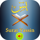 surah yasin full MP3 আইকন