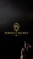 Perfect Secret poster