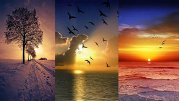 Beautiful sunsets wallpaper الملصق