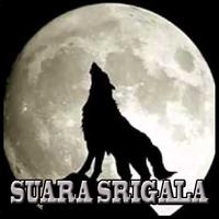 Suara Srigala Ringthones screenshot 3