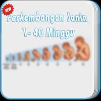 1 Schermata Perkembangan Janin 1-40 Minggu