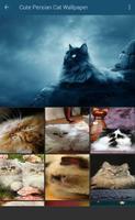 Persian Cat Wallpaper screenshot 1