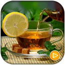 دمنوش - herbal tea APK