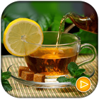 دمنوش - herbal tea icône