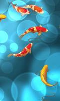 Koi Pond 3D live Wallpapers 포스터