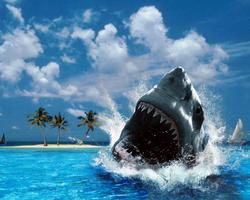 Temas de 3D Ocean Shark captura de pantalla 3