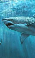 Thèmes de requins océaniques 3D Affiche