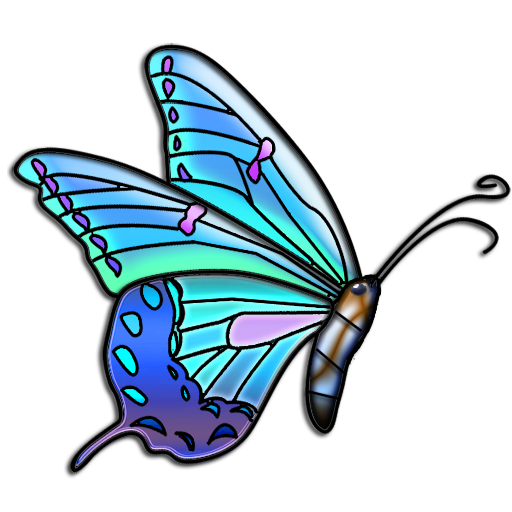 Butterflies coloring book