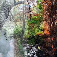 Nature puzzle