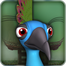 Pet Peacock APK