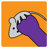 Lonely Cat Toy - For Cat Alone