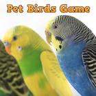 Pet Birds Game icône
