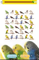 Pet Birds Game capture d'écran 1