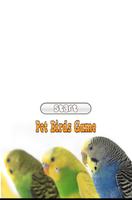 Pet Birds Game capture d'écran 2