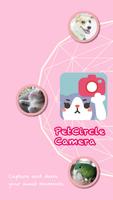 PetCircle Camera Affiche