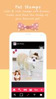 PetCircle Camera syot layar 2