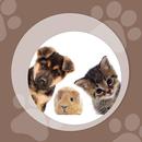 Pet Detective aplikacja