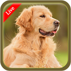 Live Dog Wallpapers 2018 आइकन