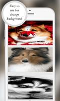 Dog Wallpapers 2018 Plakat