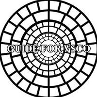 Beginner Guide For VSCO ポスター