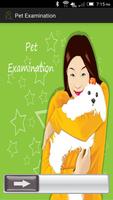 Pet Examination ポスター