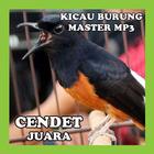 آیکون‌ Kicau Burung Cendet Om Mp3