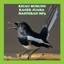 APK Kicau Burung Kacer Om Mp3