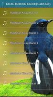 Kicau Burung Kacer Om Mp3 โปสเตอร์