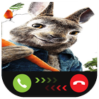 Instant Video Call Peter/Rabbit : Simulation 图标