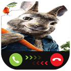 Instant Video Call Peter/Rabbit : Simulation icône
