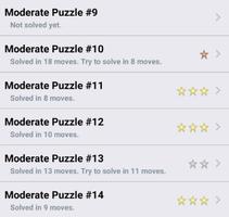 The Magnet Puzzle تصوير الشاشة 2