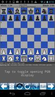 Chess Openings 海报